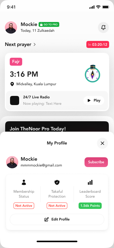 TheNoor home dashboard prompting the user to upgrade to Pro